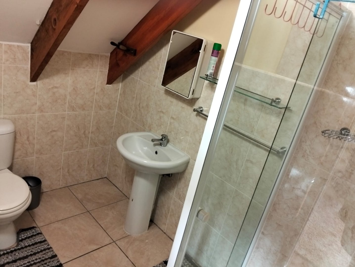 Photo 5 of 4 Bedroom House for Sale in Vakansieplaas