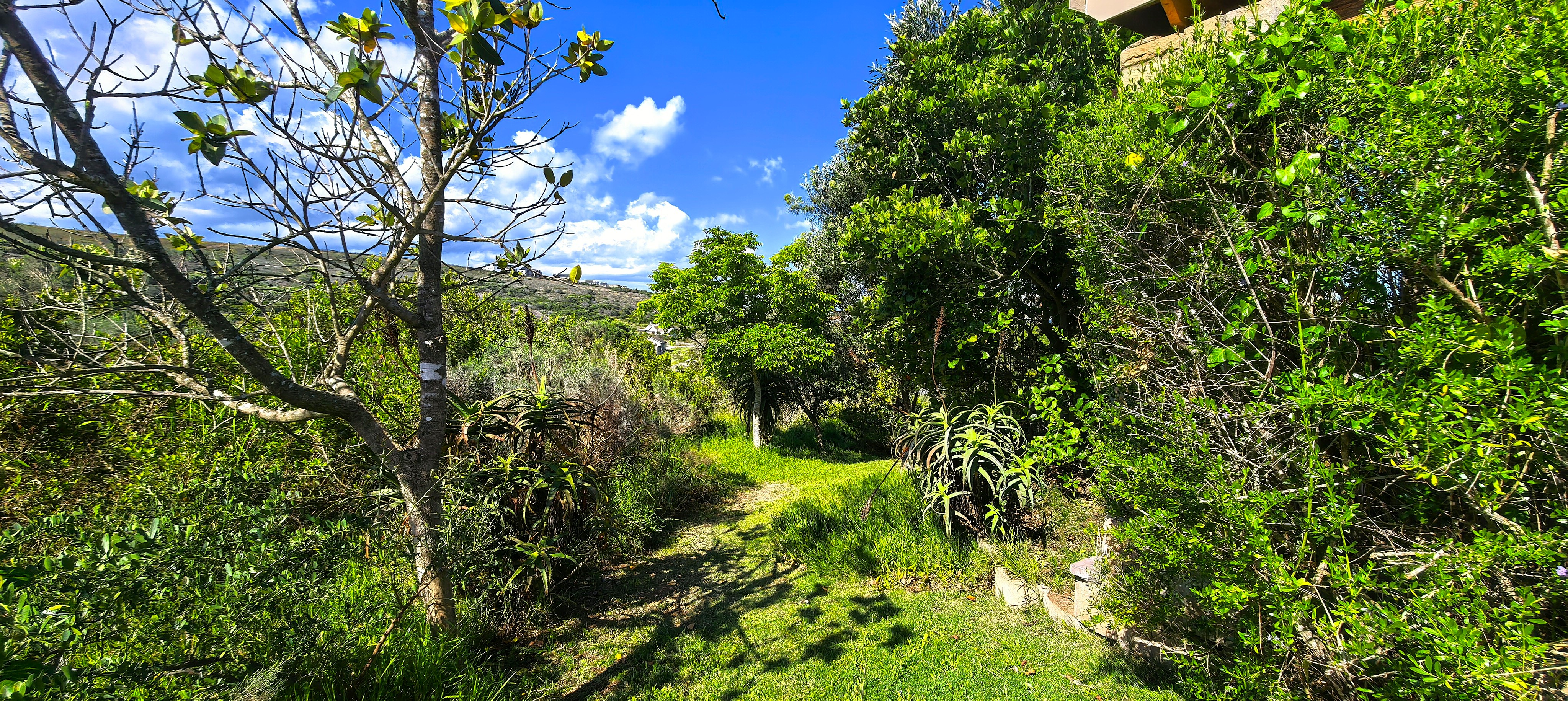 Photo 51 of Family Home in Num Num Estate